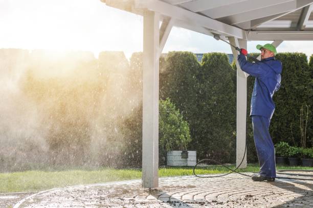 Best Graffiti Removal  in Linganore, MD
