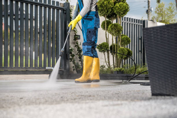 Best Patio and Deck Pressure Washing  in Linganore, MD